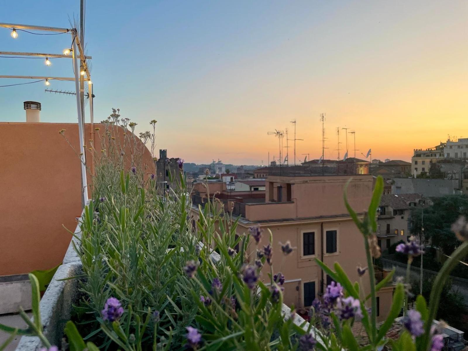 Appartement Monti View *